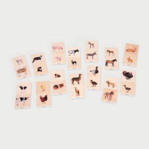 TICKIT CONJUNTO 28 FICHAS ANIMALES DOMÉSTICOS