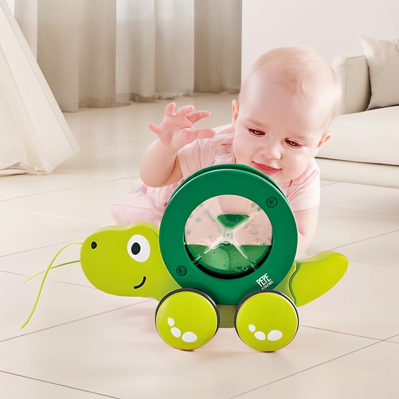 HAPE TITO LA TORTUGA DE ARRASTRE - Imagen 3