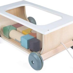 JANOD CARRITO CON BLOQUES