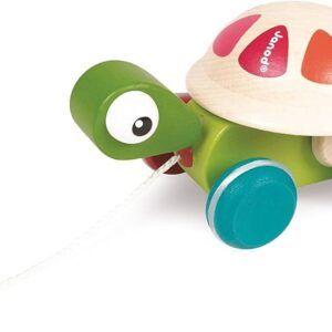 JANOD TORTUGA PARA PASEAR ZIGOLOS