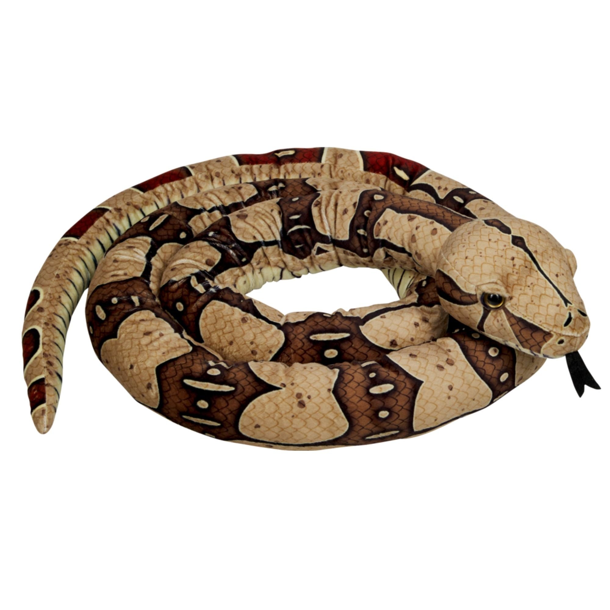 SPIEGELBURG BOA CONSTRICTOR NATURE ZOOM