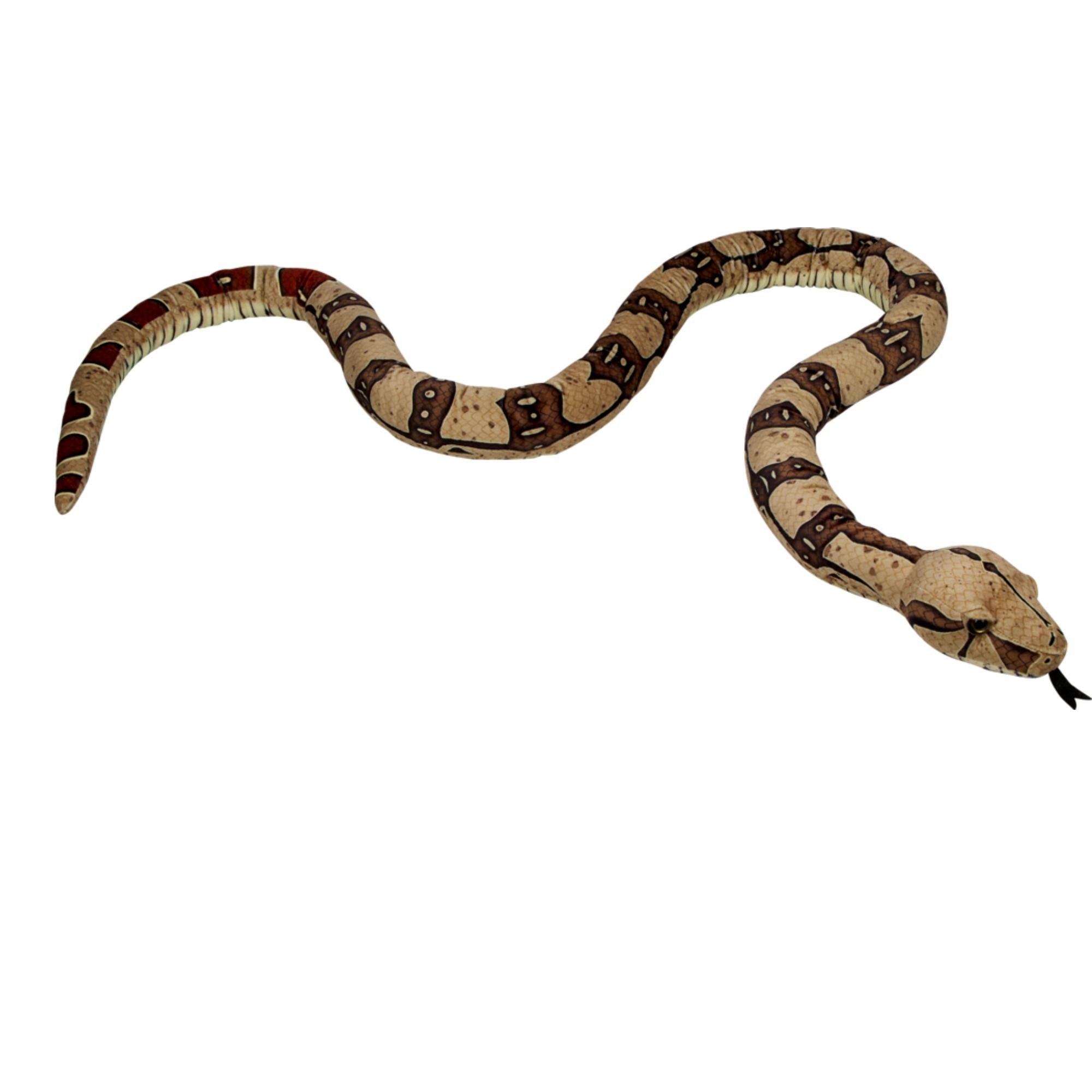 SPIEGELBURG BOA CONSTRICTOR NATURE ZOOM - Imagen 3