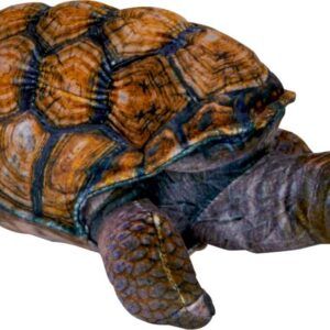 SPIEGELBURG PELUCHE TORTUGA NATURE ZOOM