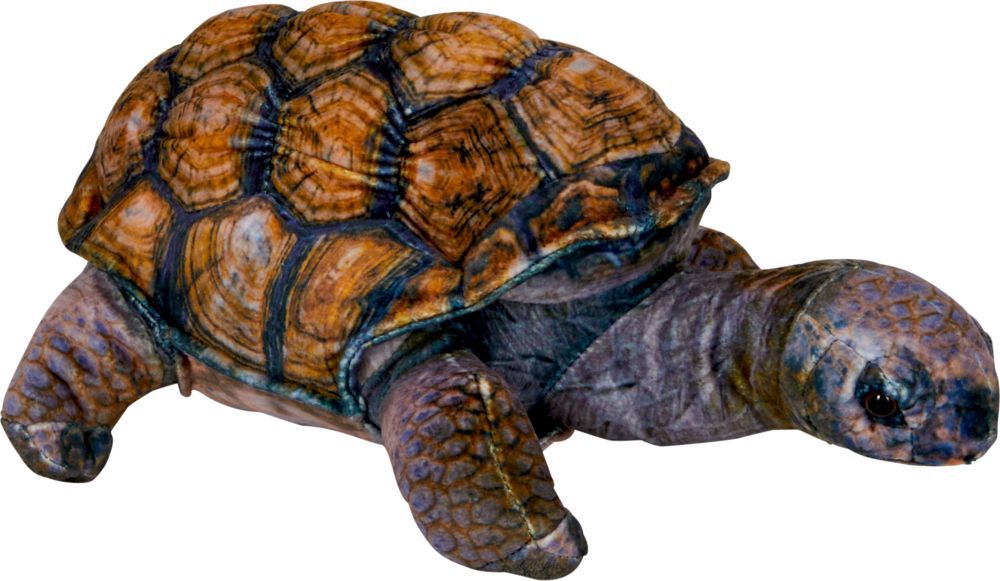 SPIEGELBURG PELUCHE TORTUGA NATURE ZOOM