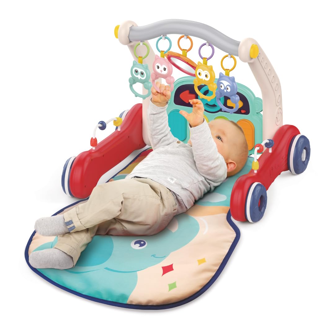 LUDI CARRITO Y ALFOMBRA PARA CAMINAR - Imagen 3