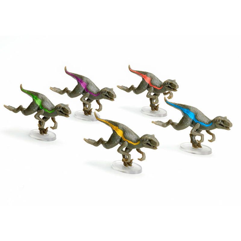FLEXIQ RAPTOR RACE - Imagen 5