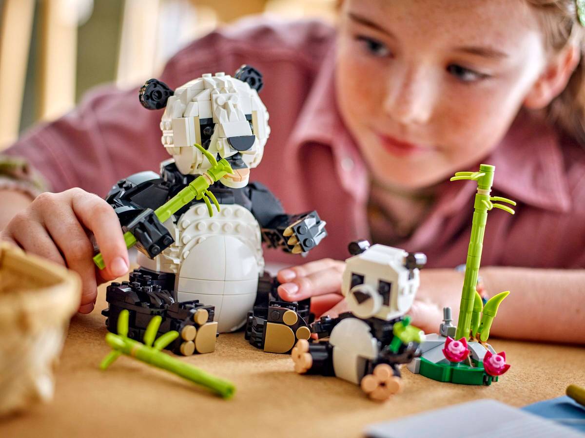 LEGO CREATOR FAUNA SALVAJE: FAMILIA DE PANDAS - Imagen 5